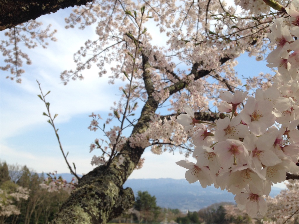 f:id:mika-shimosawa:20160417154125j:image f:id:mika-shimosawa:20160417154125j:image