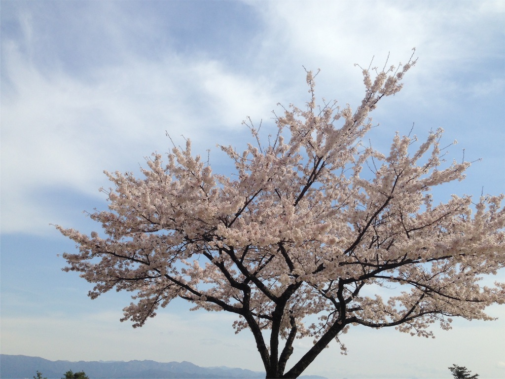 f:id:mika-shimosawa:20160417154143j:image f:id:mika-shimosawa:20160417154143j:image