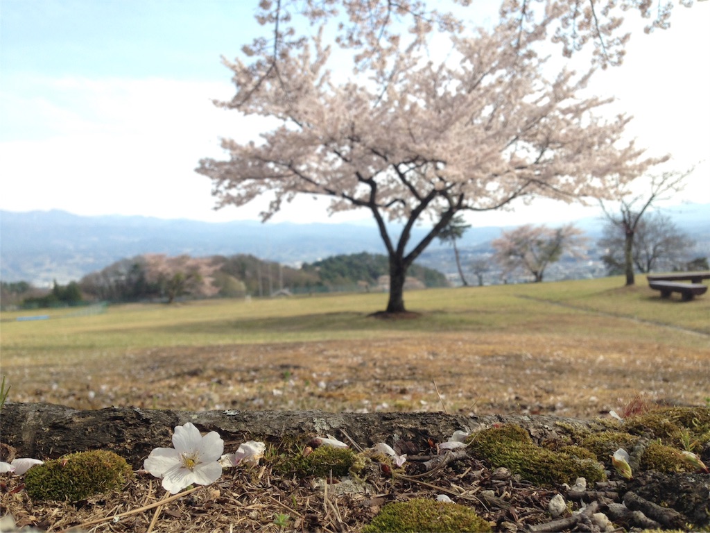 f:id:mika-shimosawa:20160417154154j:image f:id:mika-shimosawa:20160417154154j:image