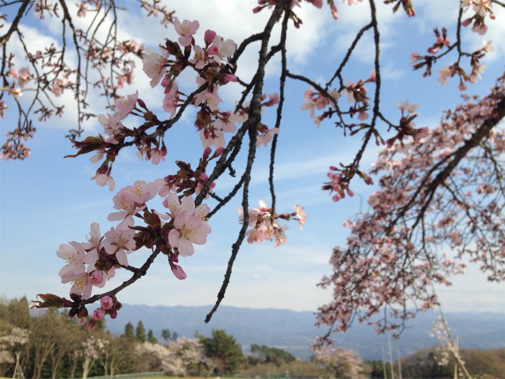 f:id:mika-shimosawa:20160417154323j:image f:id:mika-shimosawa:20160417154323j:image