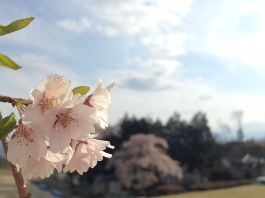 f:id:mika-shimosawa:20160417154414j:image f:id:mika-shimosawa:20160417154414j:image