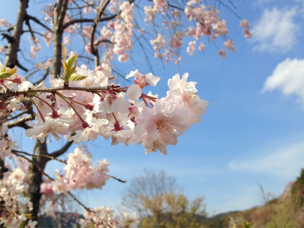 f:id:mika-shimosawa:20160417154539j:image f:id:mika-shimosawa:20160417154539j:image