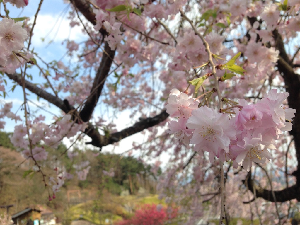 f:id:mika-shimosawa:20160417154553j:image f:id:mika-shimosawa:20160417154553j:image