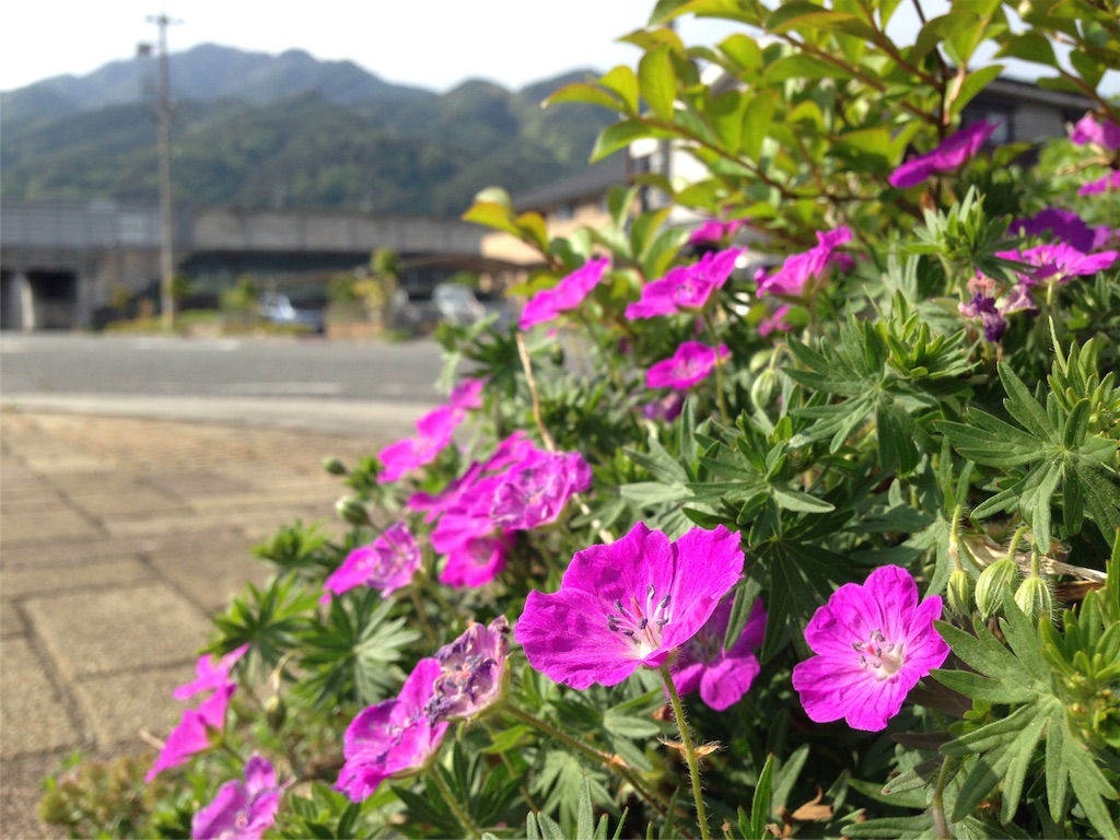 f:id:mika-shimosawa:20160503185311j:image f:id:mika-shimosawa:20160503185311j:image