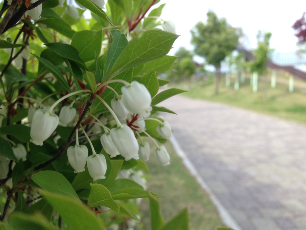 f:id:mika-shimosawa:20160503185322j:image f:id:mika-shimosawa:20160503185322j:image