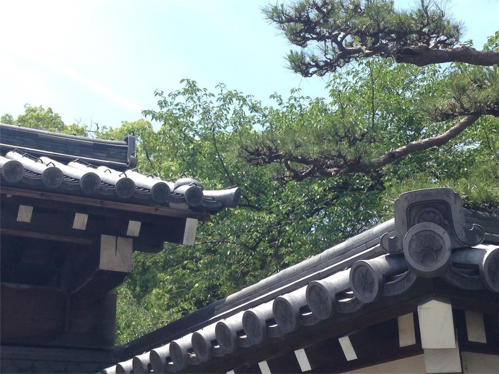 f:id:mika-shimosawa:20160604211019j:image f:id:mika-shimosawa:20160604211019j:image