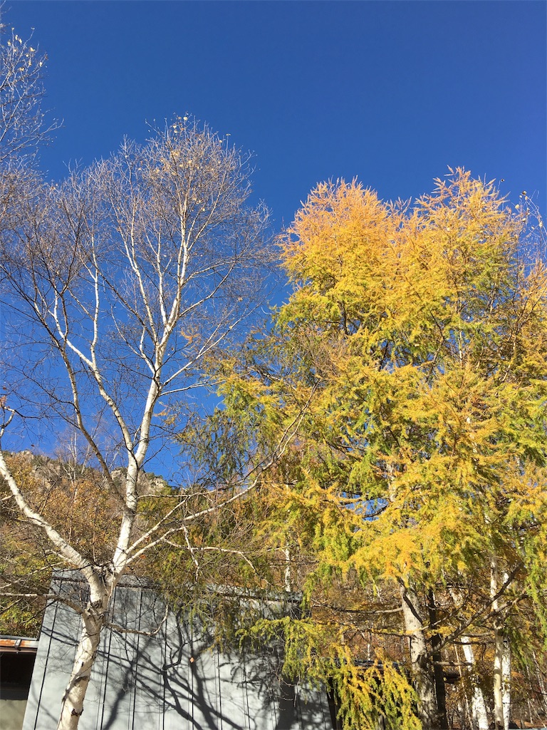 f:id:mikachiiiii:20151027102437j:image f:id:mikachiiiii:20151027102437j:image