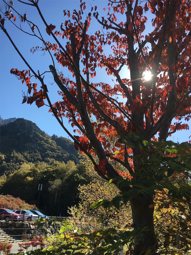 f:id:mikachiiiii:20151027192933j:image f:id:mikachiiiii:20151027192933j:image