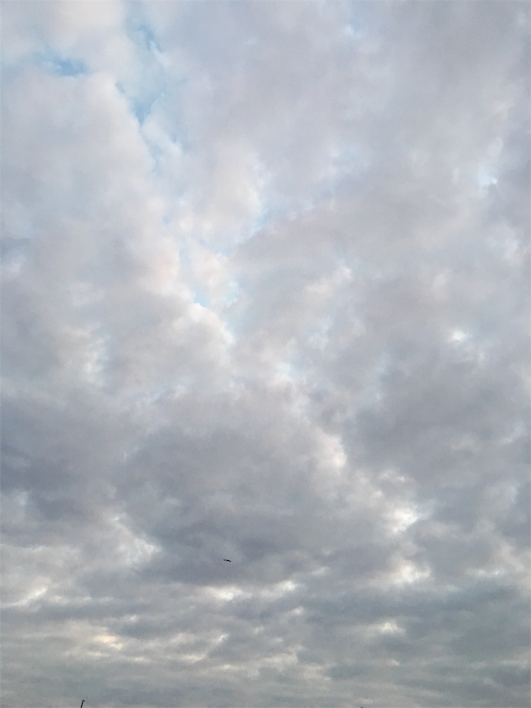 f:id:mikachiiiii:20151109153416j:image f:id:mikachiiiii:20151109153416j:image