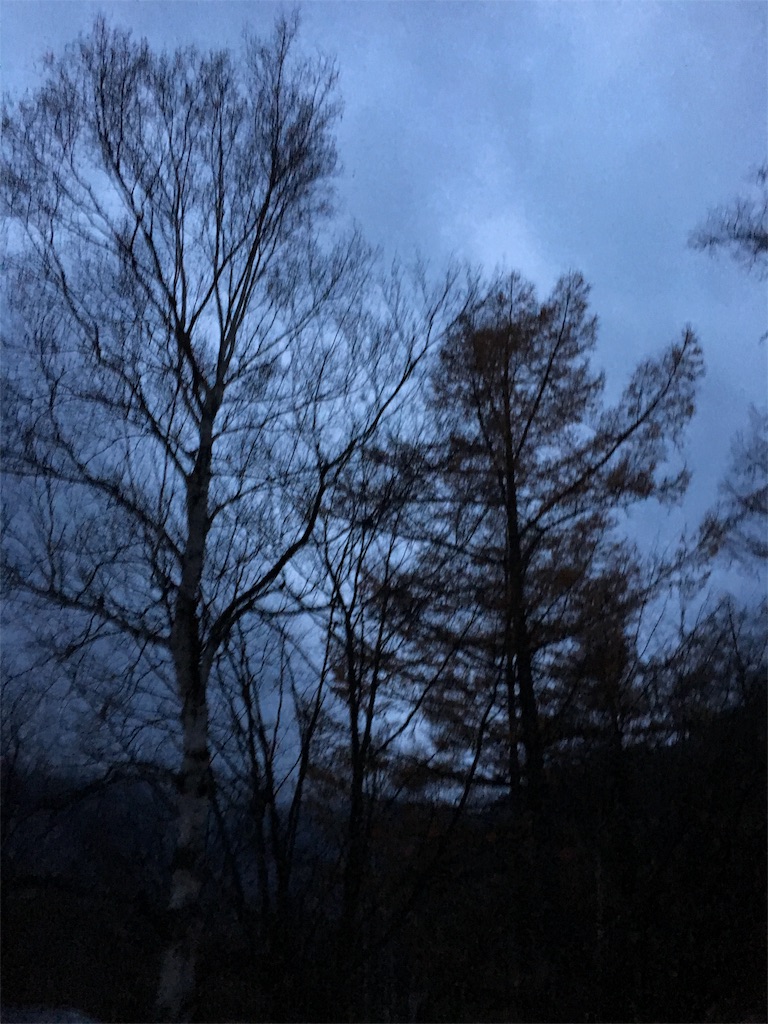 f:id:mikachiiiii:20151109233108j:image f:id:mikachiiiii:20151109233108j:image