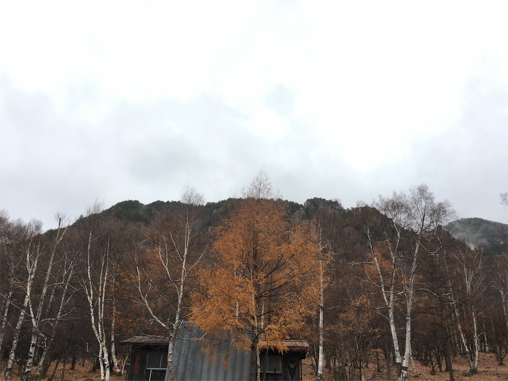 f:id:mikachiiiii:20151110001712j:image f:id:mikachiiiii:20151110001712j:image