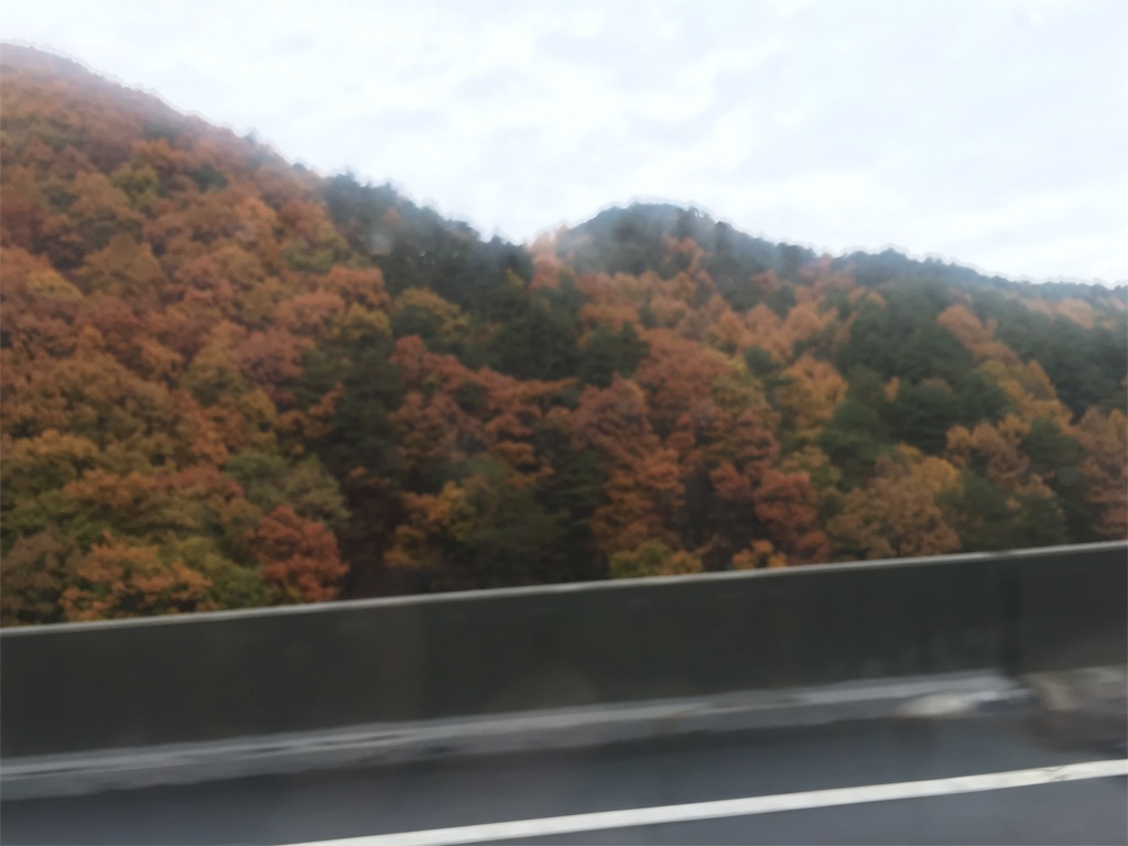 f:id:mikachiiiii:20151110002928j:image f:id:mikachiiiii:20151110002928j:image