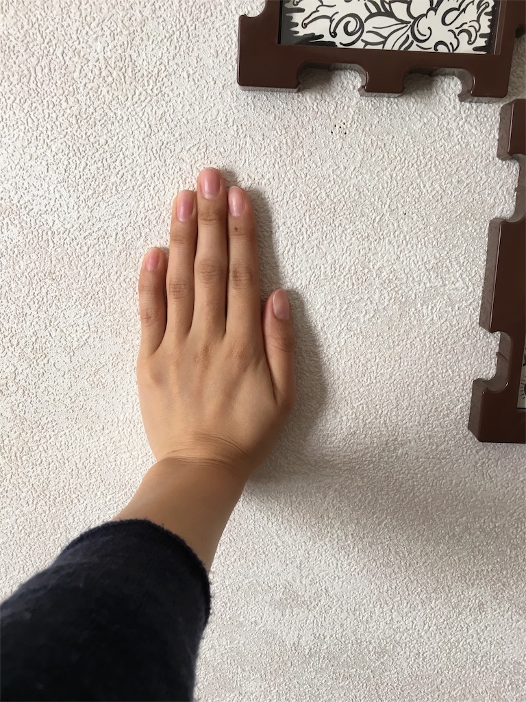 f:id:mikachiiiii:20151229070626j:image f:id:mikachiiiii:20151229070626j:image