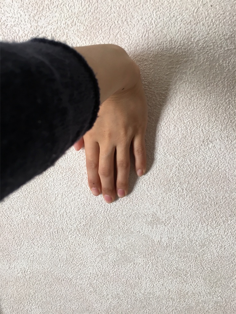 f:id:mikachiiiii:20151229070703j:image f:id:mikachiiiii:20151229070703j:image