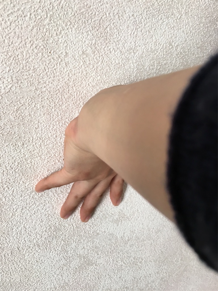 f:id:mikachiiiii:20151229070911j:image f:id:mikachiiiii:20151229070911j:image