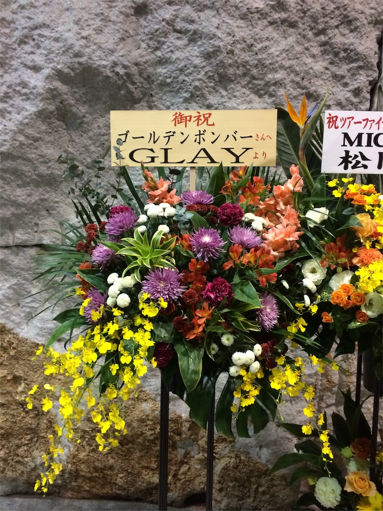 f:id:mikachuuuu:20151113083242j:image f:id:mikachuuuu:20151113083242j:image