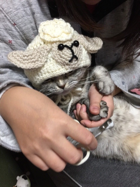 f:id:mikadandy:20150104134833j:plain f:id:mikadandy:20150104134833j:plain