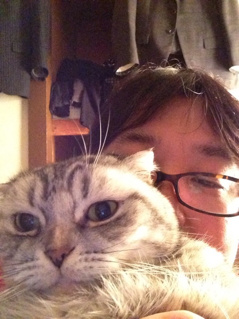 f:id:mikadandy:20150325100716j:plain f:id:mikadandy:20150325100716j:plain
