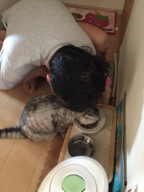 f:id:mikadandy:20150430142233j:image f:id:mikadandy:20150430142233j:image