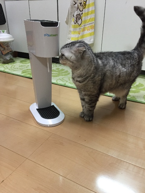 f:id:mikadandy:20150710001455j:image f:id:mikadandy:20150710001455j:image
