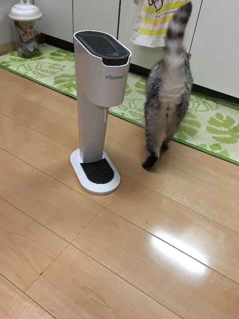 f:id:mikadandy:20150710001517j:image f:id:mikadandy:20150710001517j:image