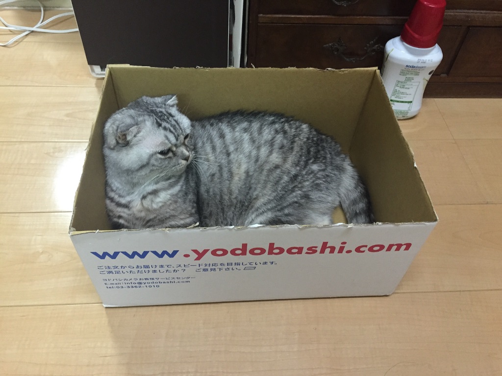 f:id:mikadandy:20150803012949j:image f:id:mikadandy:20150803012949j:image