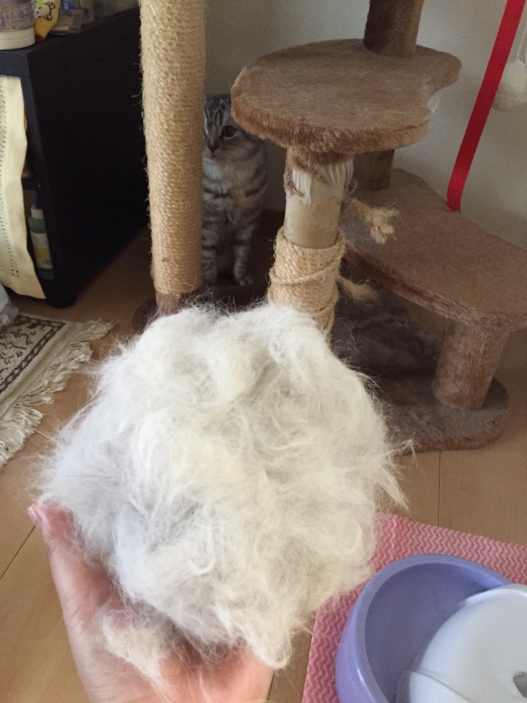 f:id:mikadandy:20150814150143j:image f:id:mikadandy:20150814150143j:image