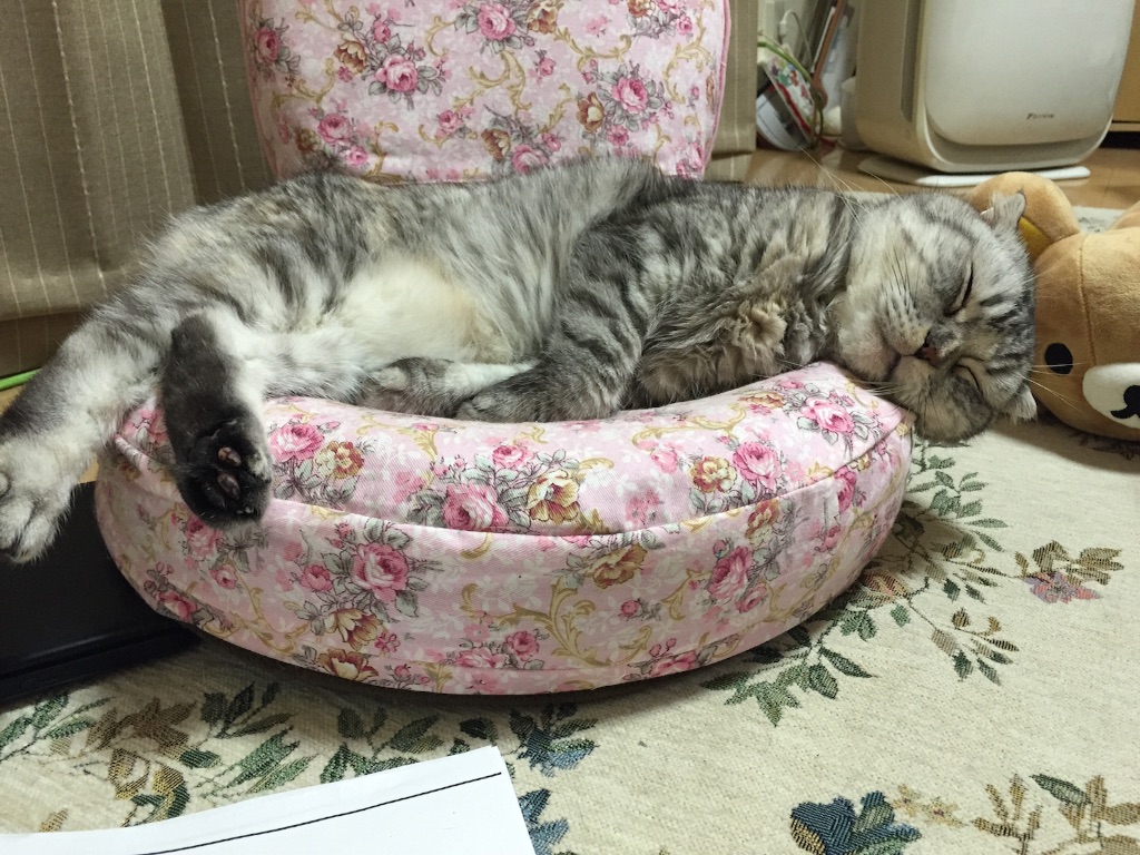 f:id:mikadandy:20150908133735j:image f:id:mikadandy:20150908133735j:image