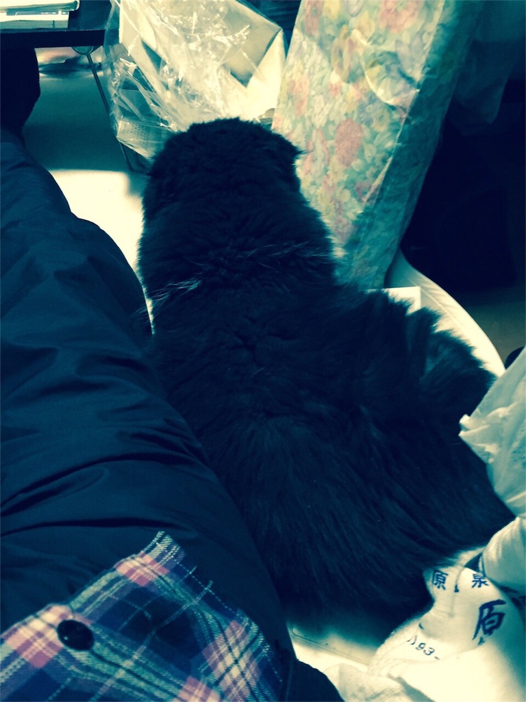 f:id:mikadandy:20151012204028j:image f:id:mikadandy:20151012204028j:image