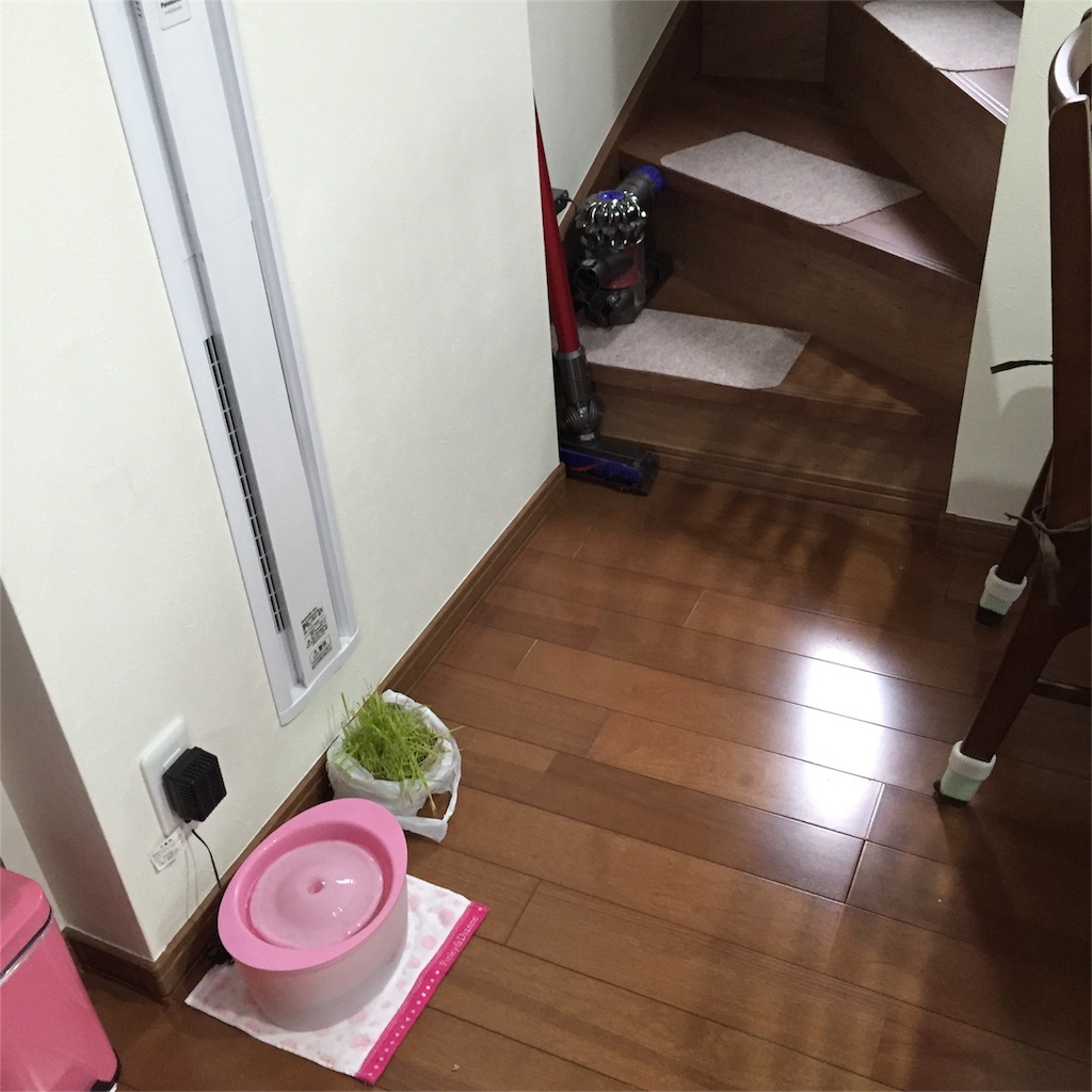 f:id:mikadandy:20151112222810j:image f:id:mikadandy:20151112222810j:image