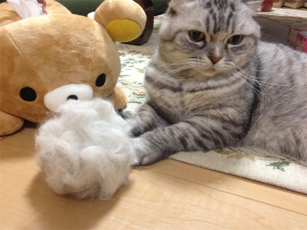 f:id:mikadandy:20151223205109j:image f:id:mikadandy:20151223205109j:image