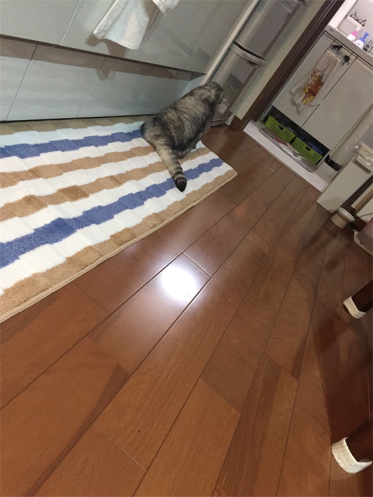 f:id:mikadandy:20160327005233j:image f:id:mikadandy:20160327005233j:image