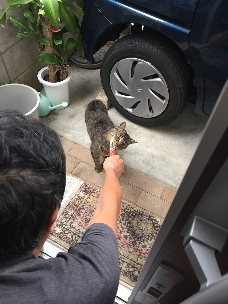 f:id:mikadandy:20160606103856j:image f:id:mikadandy:20160606103856j:image