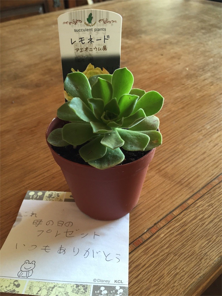 f:id:mikanblog:20160514151045j:image f:id:mikanblog:20160514151045j:image