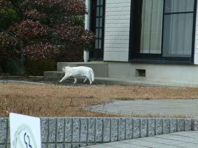 f:id:mikawakougei:20150203013505j:plain f:id:mikawakougei:20150203013505j:plain