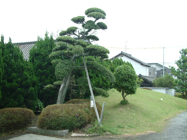 f:id:mikawakougei:20150612002042j:plain f:id:mikawakougei:20150612002042j:plain