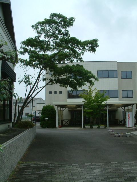 f:id:mikawakougei:20150617010426j:plain f:id:mikawakougei:20150617010426j:plain