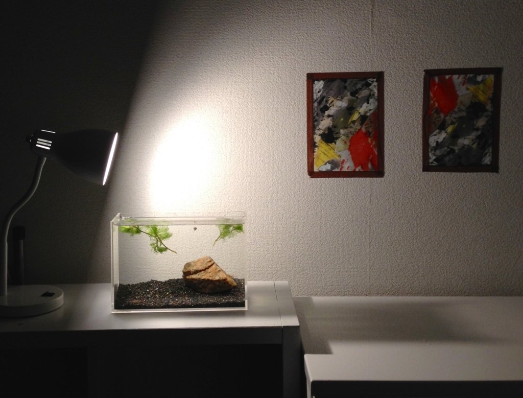 f:id:mikemikeblog:20150827051646j:plain f:id:mikemikeblog:20150827051646j:plain