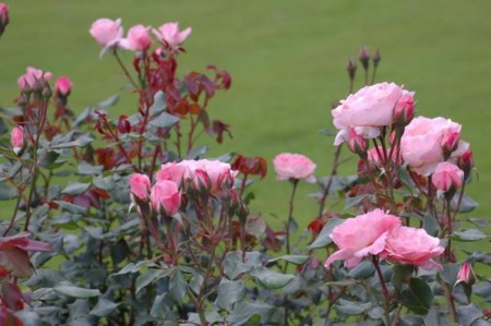 f:id:mikishanbara:20100530121535j:image f:id:mikishanbara:20100530121535j:image