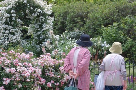 f:id:mikishanbara:20100530121551j:image f:id:mikishanbara:20100530121551j:image