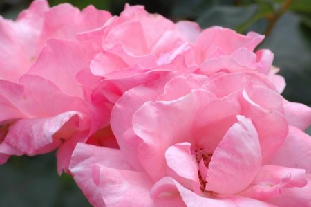 f:id:mikishanbara:20100530122033j:image f:id:mikishanbara:20100530122033j:image