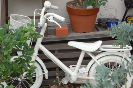 f:id:mikishanbara:20100607131335j:image f:id:mikishanbara:20100607131335j:image