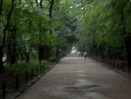 f:id:mikishanbara:20100711165435j:image f:id:mikishanbara:20100711165435j:image