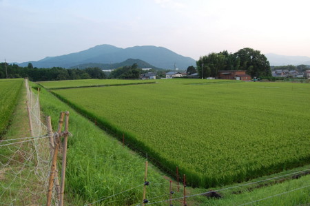 f:id:mikishanbara:20100730193945j:image f:id:mikishanbara:20100730193945j:image
