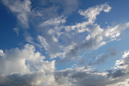 f:id:mikishanbara:20100803185939j:image f:id:mikishanbara:20100803185939j:image