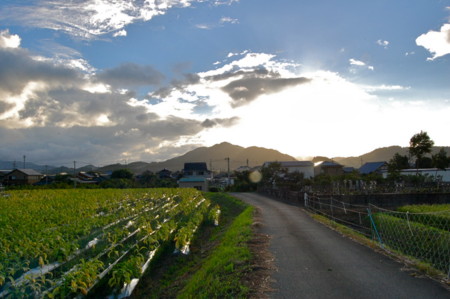 f:id:mikishanbara:20100803190313j:image f:id:mikishanbara:20100803190313j:image