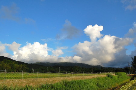 f:id:mikishanbara:20100803190405j:image f:id:mikishanbara:20100803190405j:image