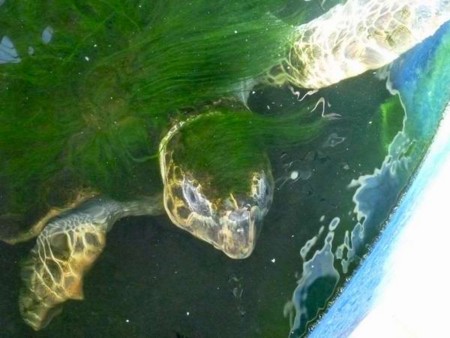 f:id:mikishanbara:20110219104836j:image f:id:mikishanbara:20110219104836j:image