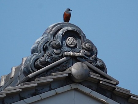 f:id:mikishanbara:20110414111849j:image f:id:mikishanbara:20110414111849j:image
