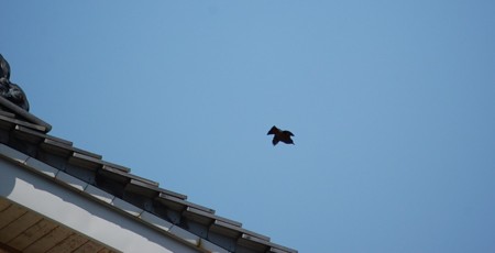 f:id:mikishanbara:20110414111858j:image f:id:mikishanbara:20110414111858j:image